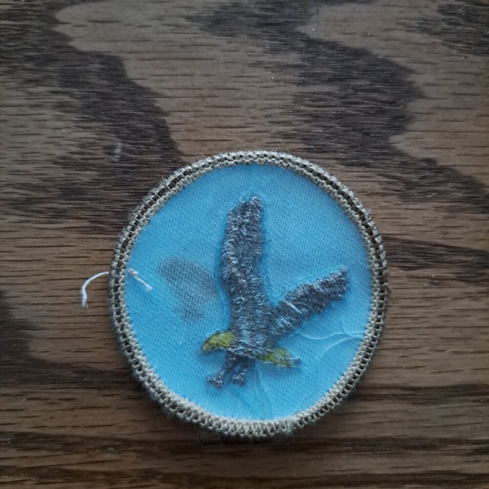 Eagle Patch Round Vintage Embroidered Patch - image 2
